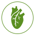 Cardiac image